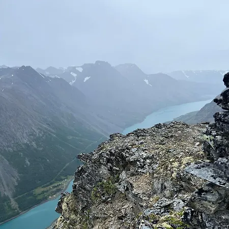 Lyngen