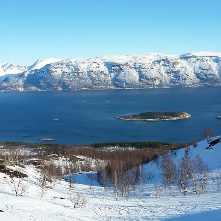 Lyngen
