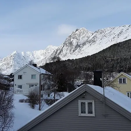 Lyngen