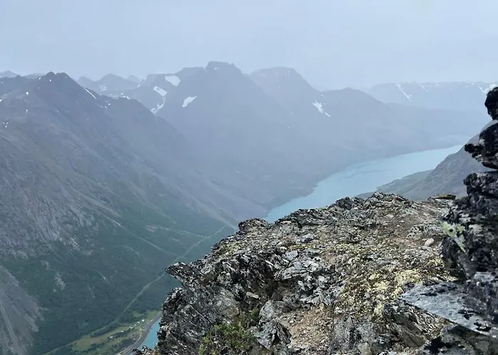 Lyngen