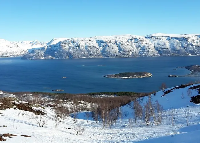 Lyngen
