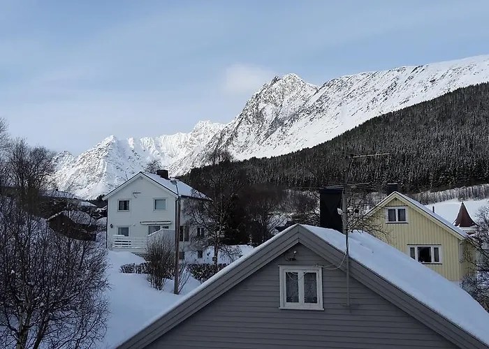 Lyngen